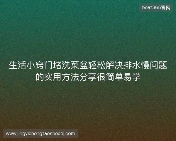 生活小窍门堵洗菜盆轻松解决排水慢问题的实用方法分享很简单易学
